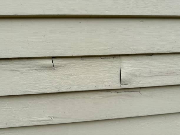 Best Composite Siding  in Vinita, OK